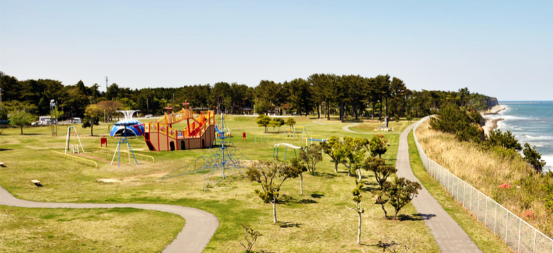 広大な芝生エリア